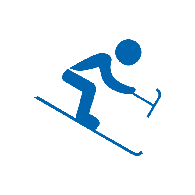 Alpine skiing, paralympic, paralympic alpine skiing,