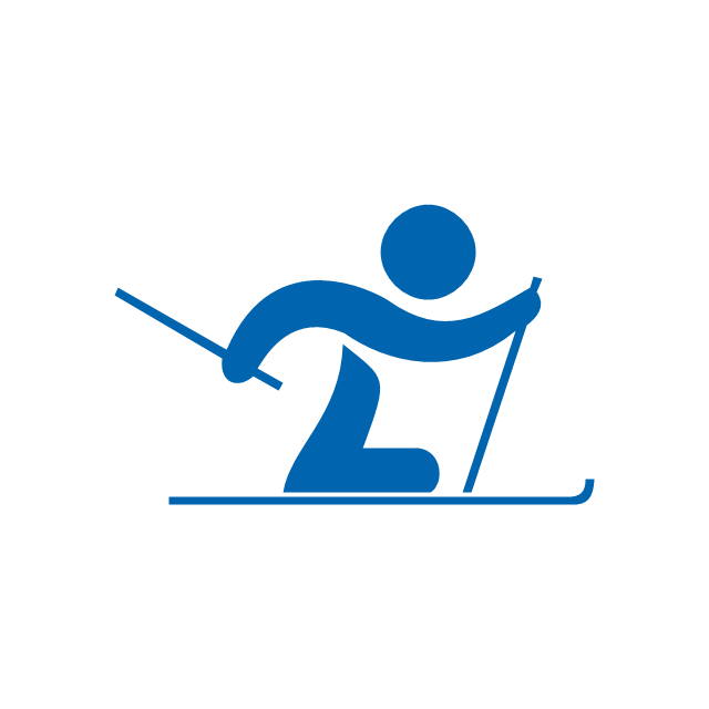 Cross-country skiing, paralympic, paralympic cross-country skiing,