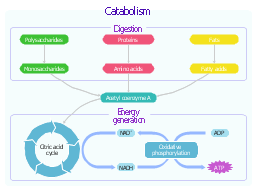 map diagram pathways pathway metabolic biochemical catabolic