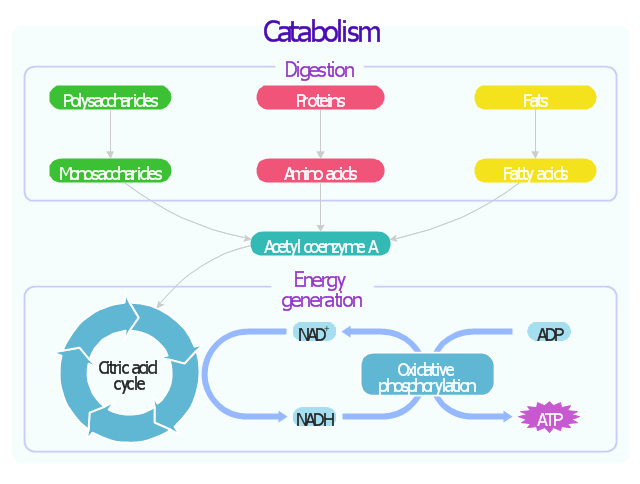 Biochemical metabolic pathway map diagram | Glucose ...