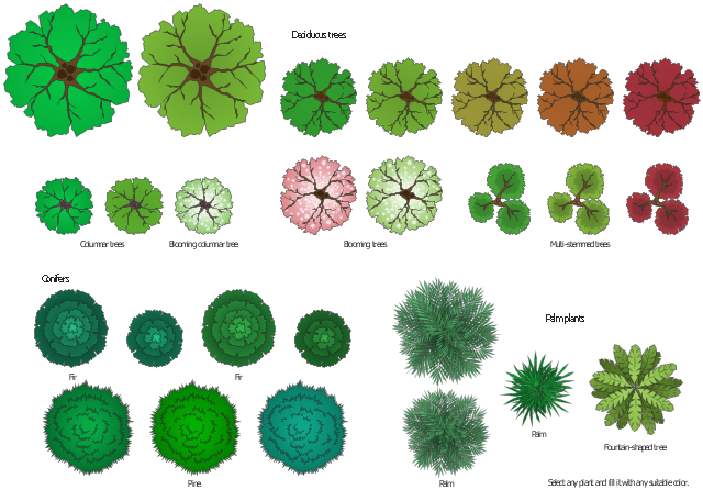 Bubble Diagrams In Landscape Design, Types Of Trees In Landscape Design