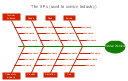 8Ps fishbone diagram, effect, cause, category,