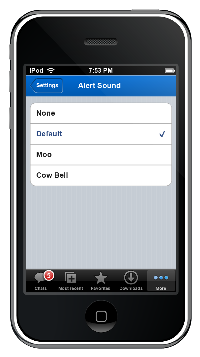 iPhone GUI, screen, tab bar, status bar, navigation bar, controls, grouped list, list, iPhone