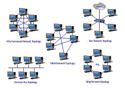 Network topologies, switch, desktop PC, cloud, bus,