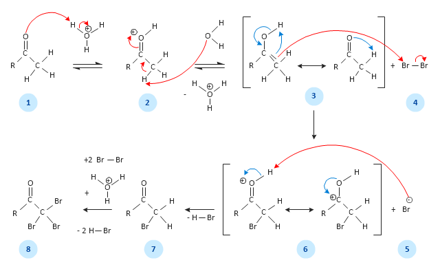 Alpha halogenation of aldehydes and ketones, reaction arrows, reversible reaction, plus, minus, hydrogen, H, bond, covalent bond, double bond,