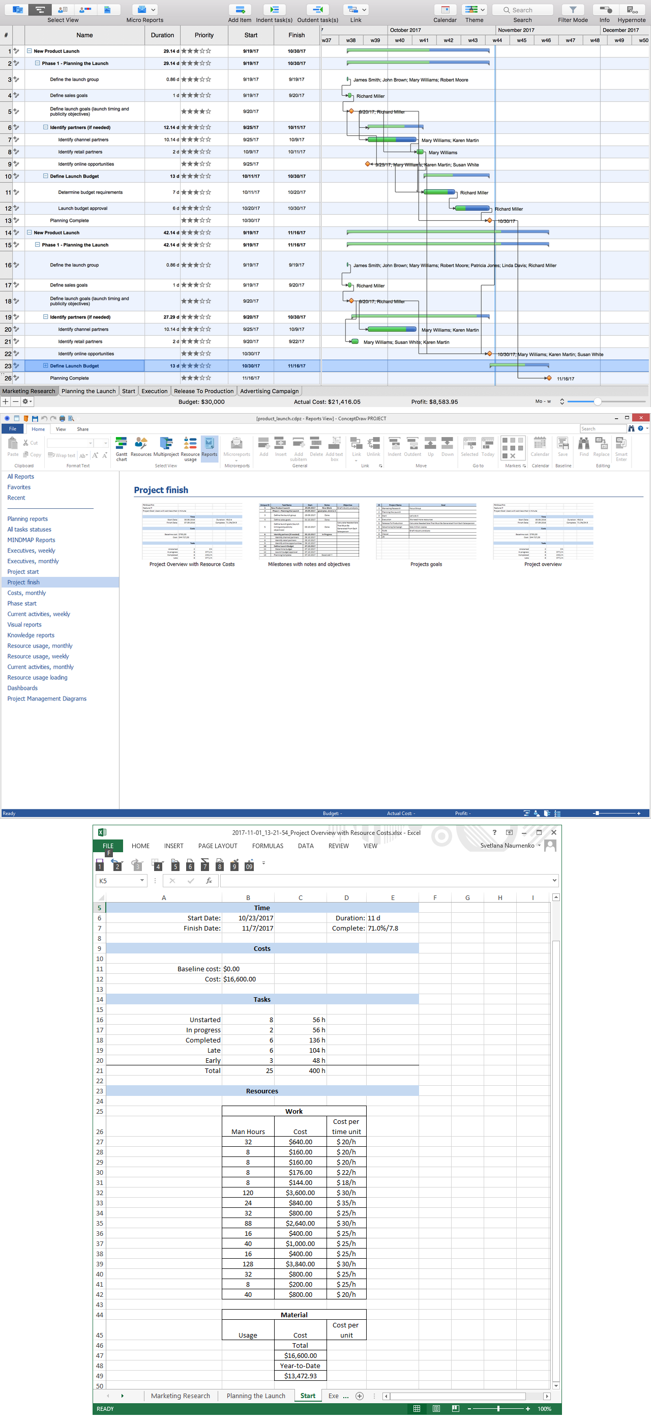 Project Reports — Project Finish