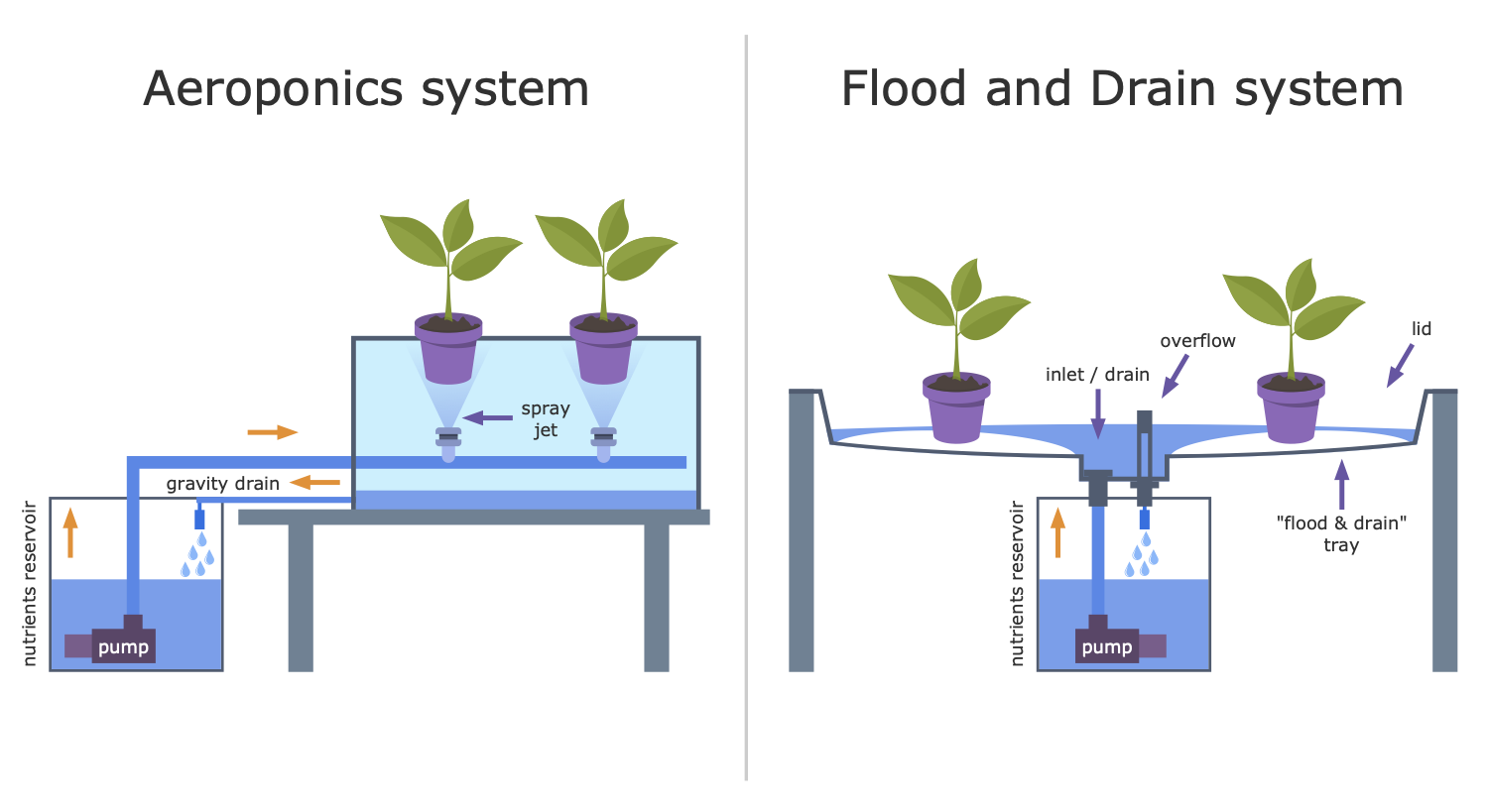 Aeroponics and Hydroponics