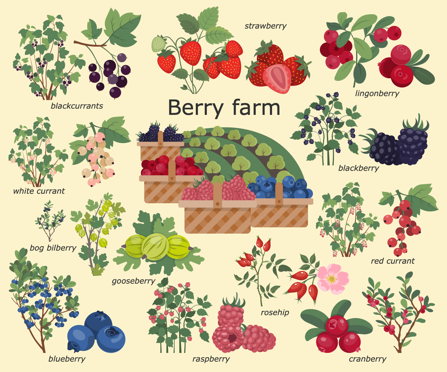 Berry Farm