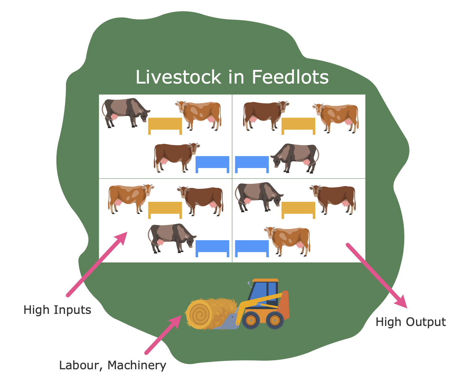 Concentrated Animal Feeding Operations