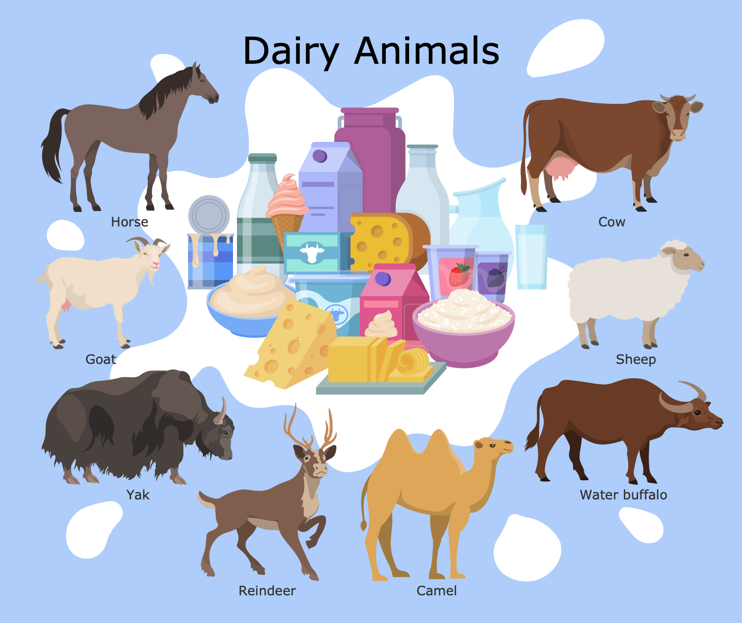 Dairy Animals