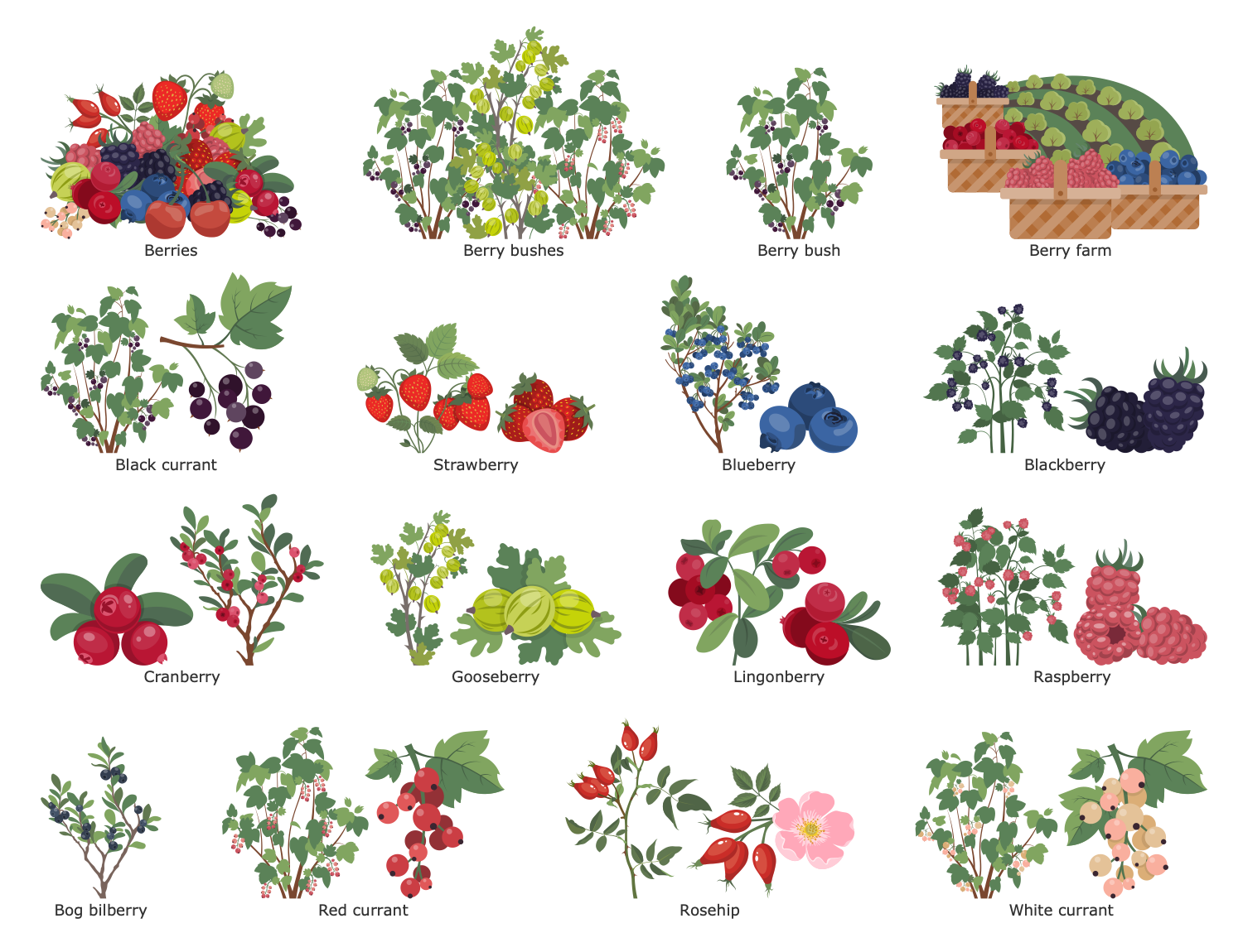 Food Court Design Elements — Berry Farming