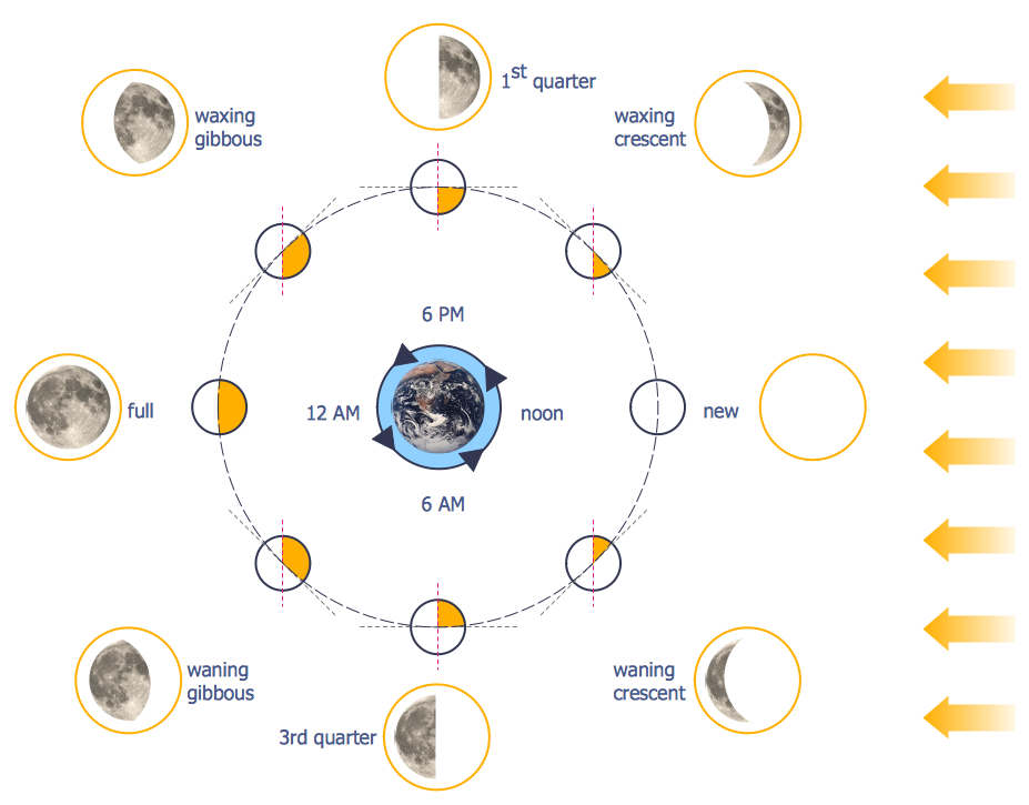 lunar cycle definition science
