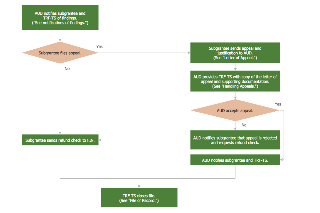 auditing process