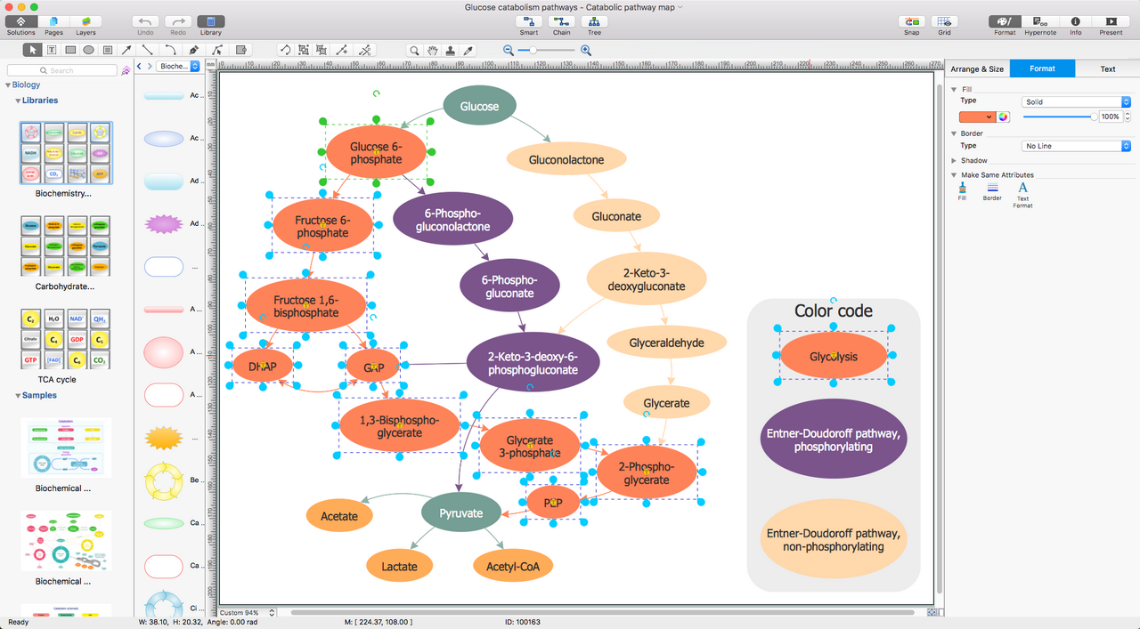 Biology Solution | ConceptDraw.com process flow diagram visio 