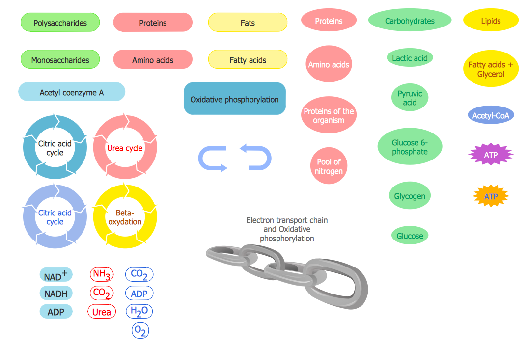 Biology Symbols — Biochemistry of Metabolism