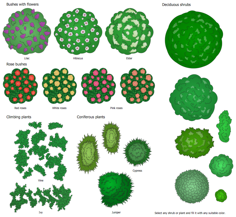 Building Plans Landscape Garden Design Elements Bushes and Trees_bushes18