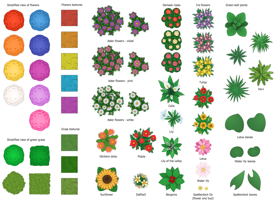 Landscape & Garden Solution | ConceptDraw.com