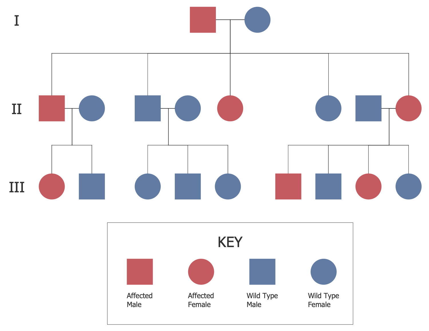 Autosomal Dominant Pedigree Example With Key