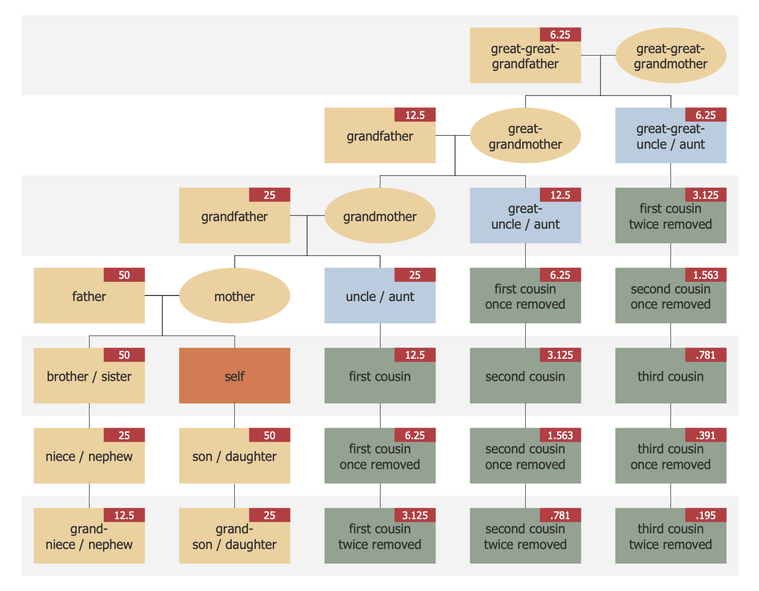 Family Tree Examples to Easily Visualize Your Family History