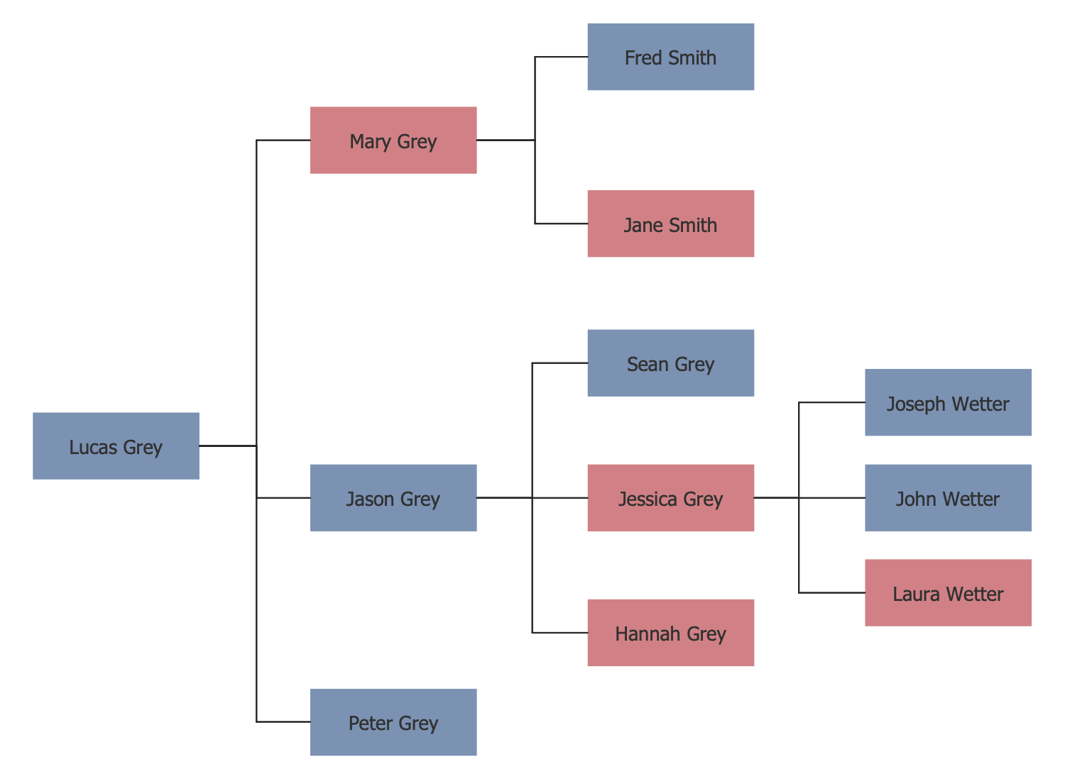 What Is A Family Tree Diagram Called