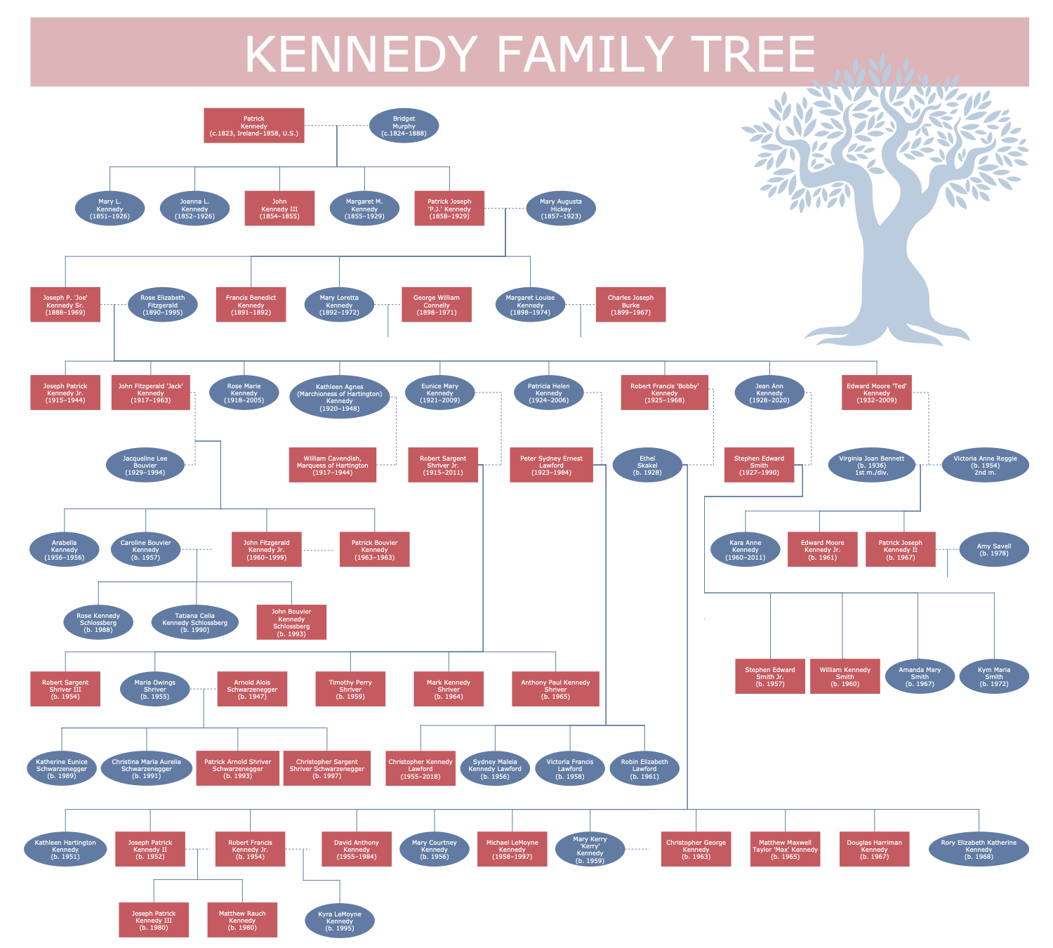 https://www.conceptdraw.com/solution-park/resource/images/solutions/diagram-family-tree/DIAGRAMS-Family-Tree-Kennedy-Family-Tree53.png