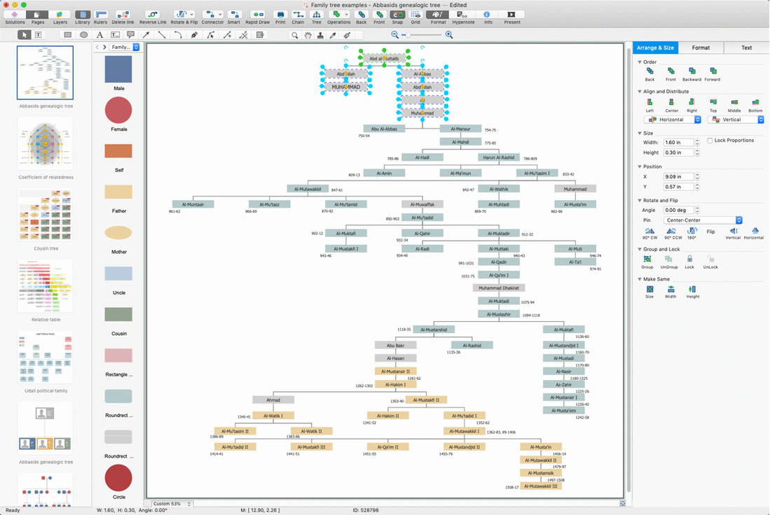 How to make a Family Tree + examples, by Weje.io