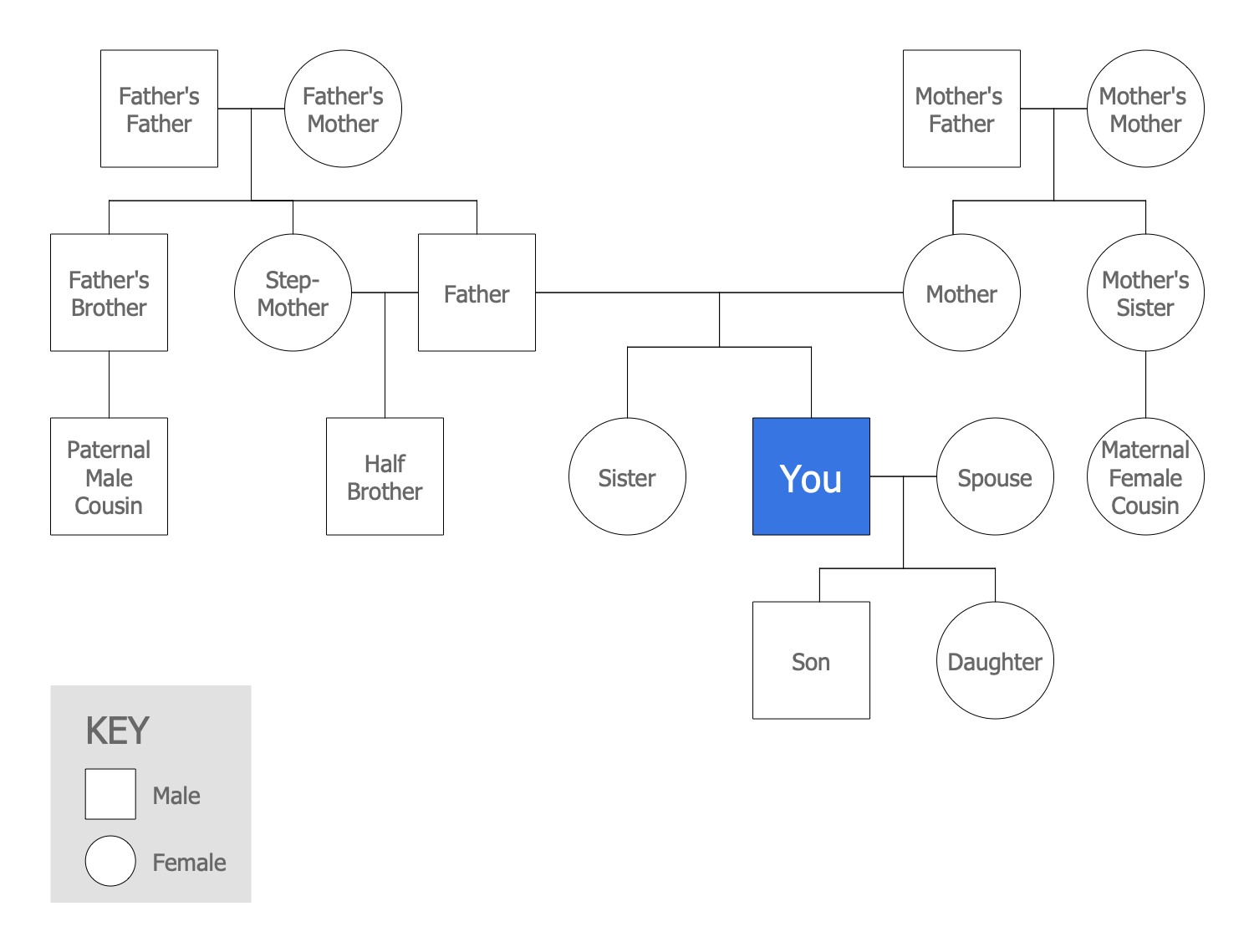 genogram example 3 generations