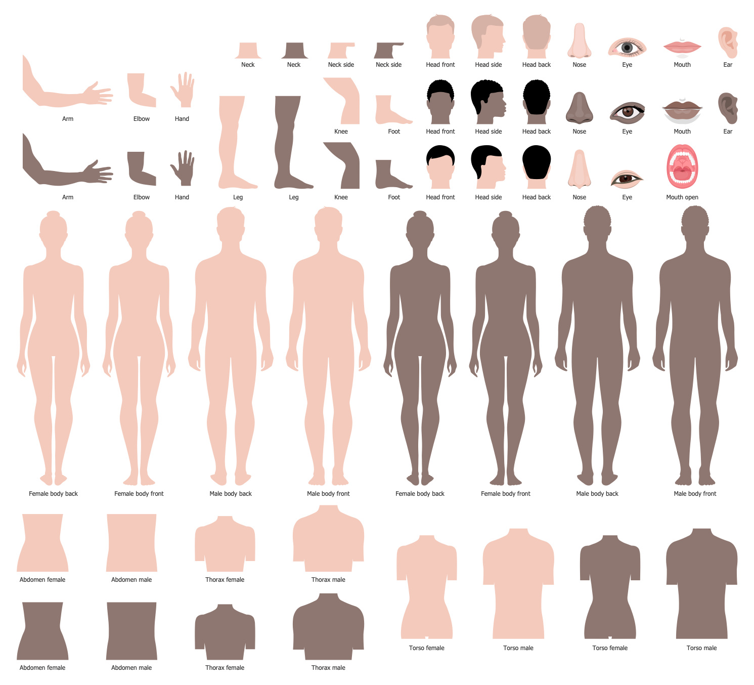 Design Elements — Human Body