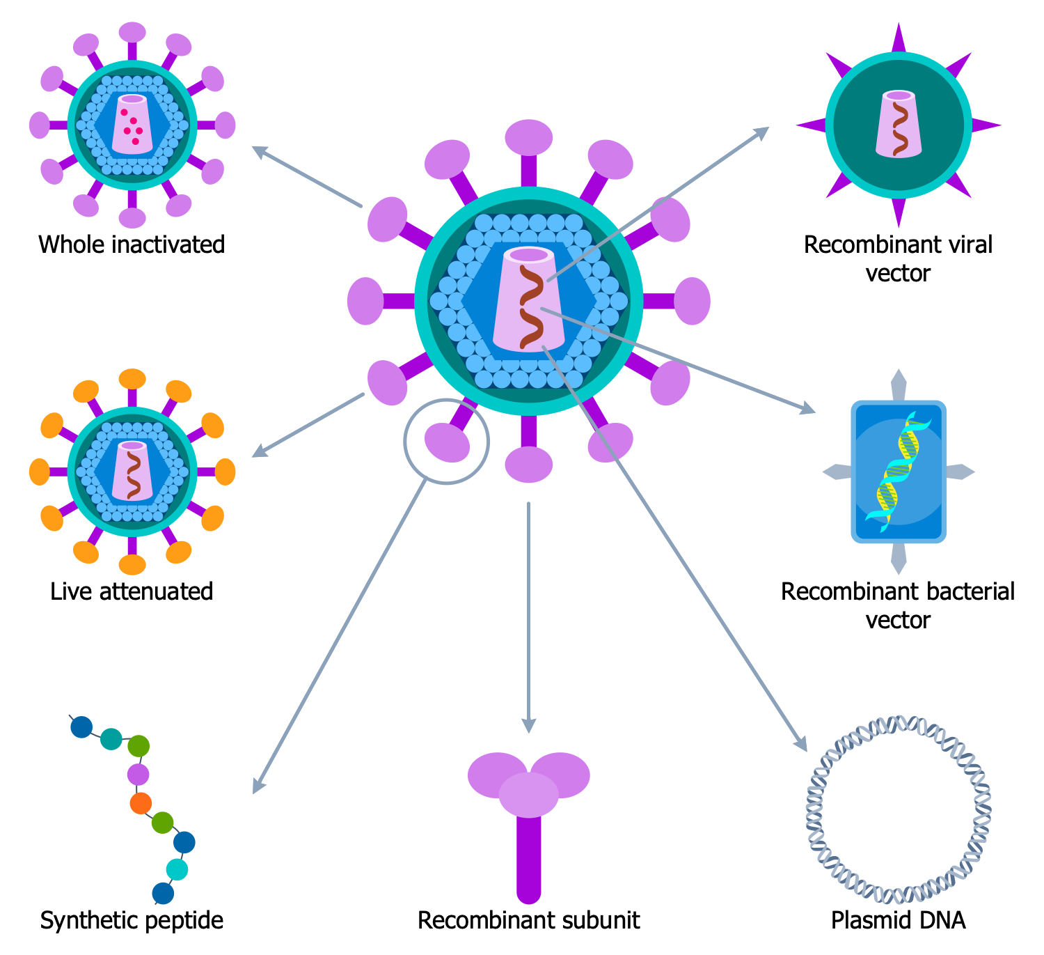 Vaccine Development