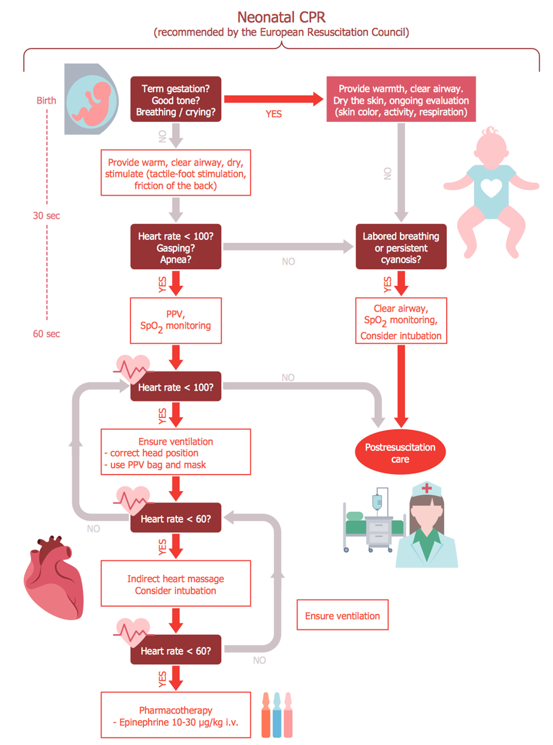 Cardiopulmonary Resuscitation of Newborn Infants