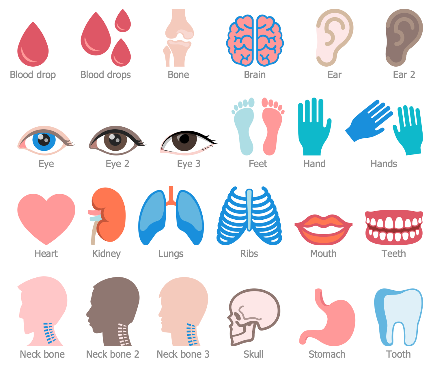 Design Elements — Healthcare Anatomy