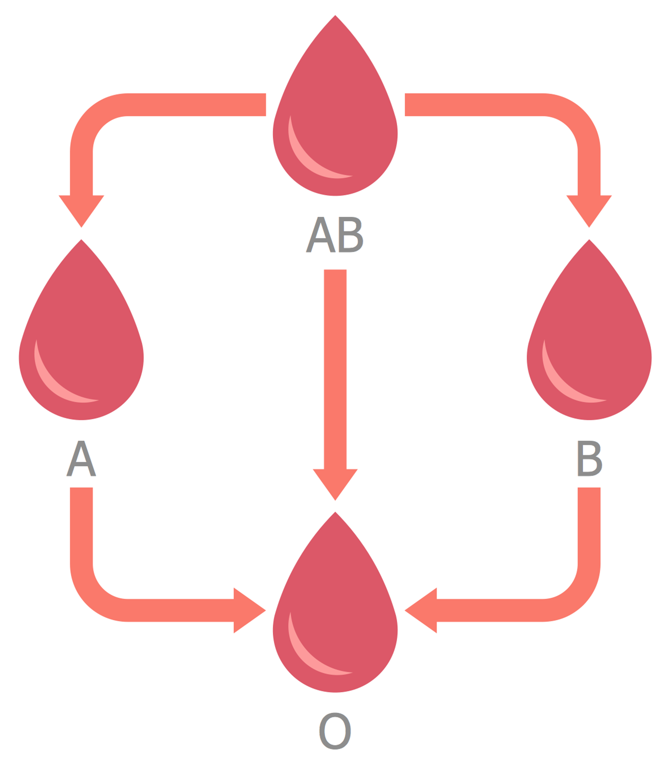 Plasma Donation Compatibility Path