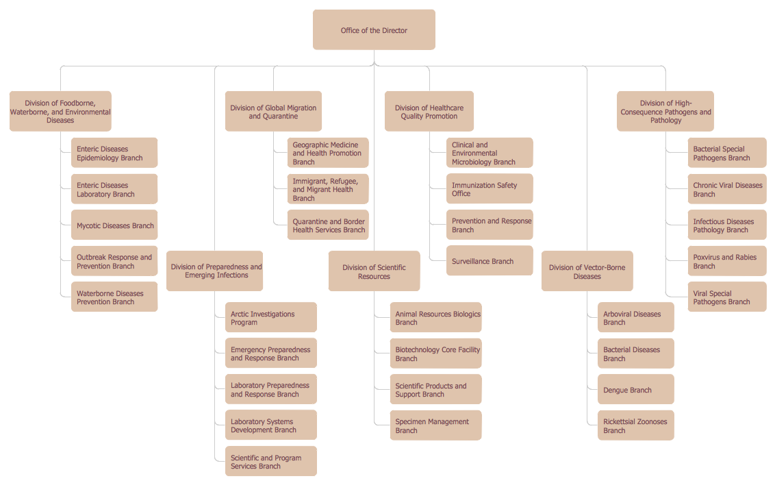 Stanford Hospital Organizational Chart